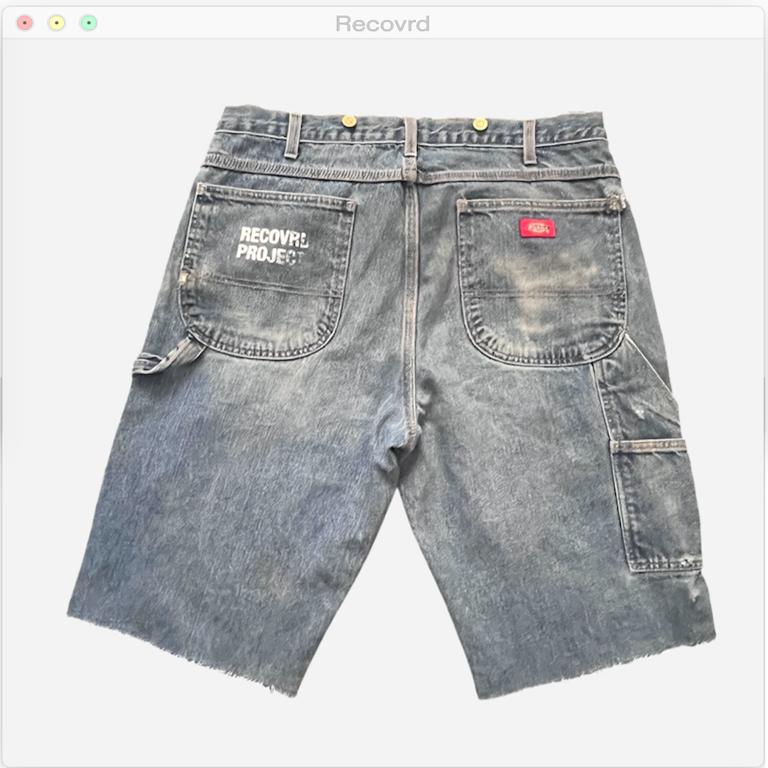 RECOVRD PROJECT JORTS Size 34