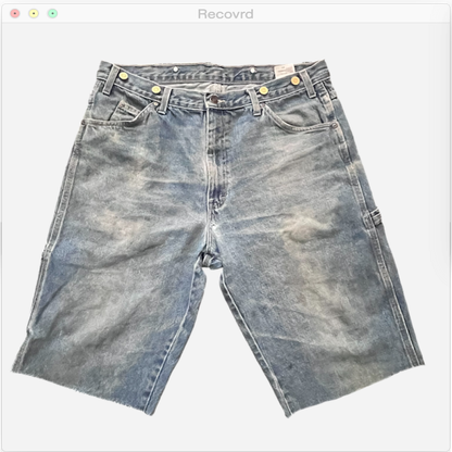 RECOVRD PROJECT JORTS Size 34