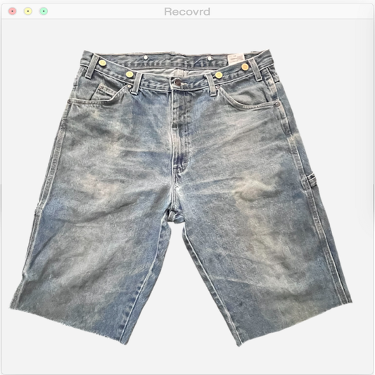 RECOVRD PROJECT JORTS Size 34