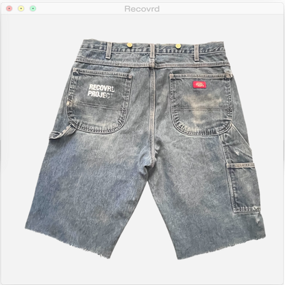 RECOVRD PROJECT JORTS Size 34